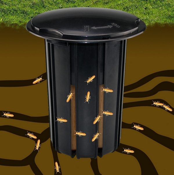 Cebos para  termitas: ensayos de eficacia en laboratorio y en campo.