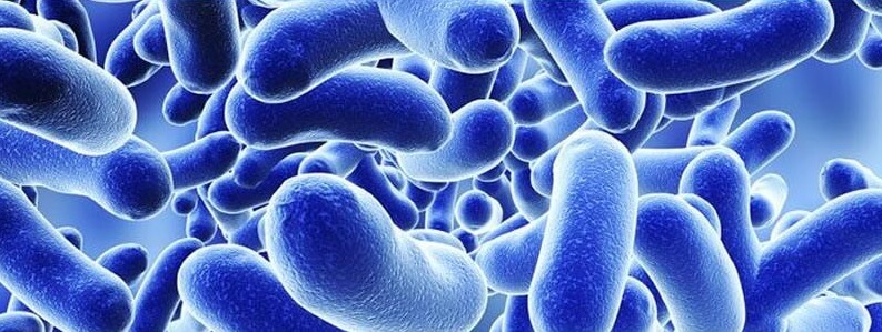 Jornada de Legionella y legionelosis: virulencia, aspectos clínicos y su control