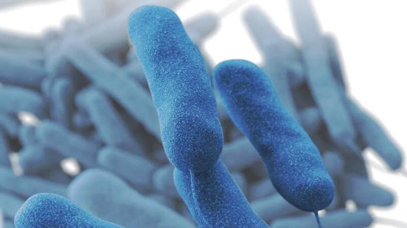 Técnicas rápidas de detección de Legionella, una necesidad para la prevención eficiente