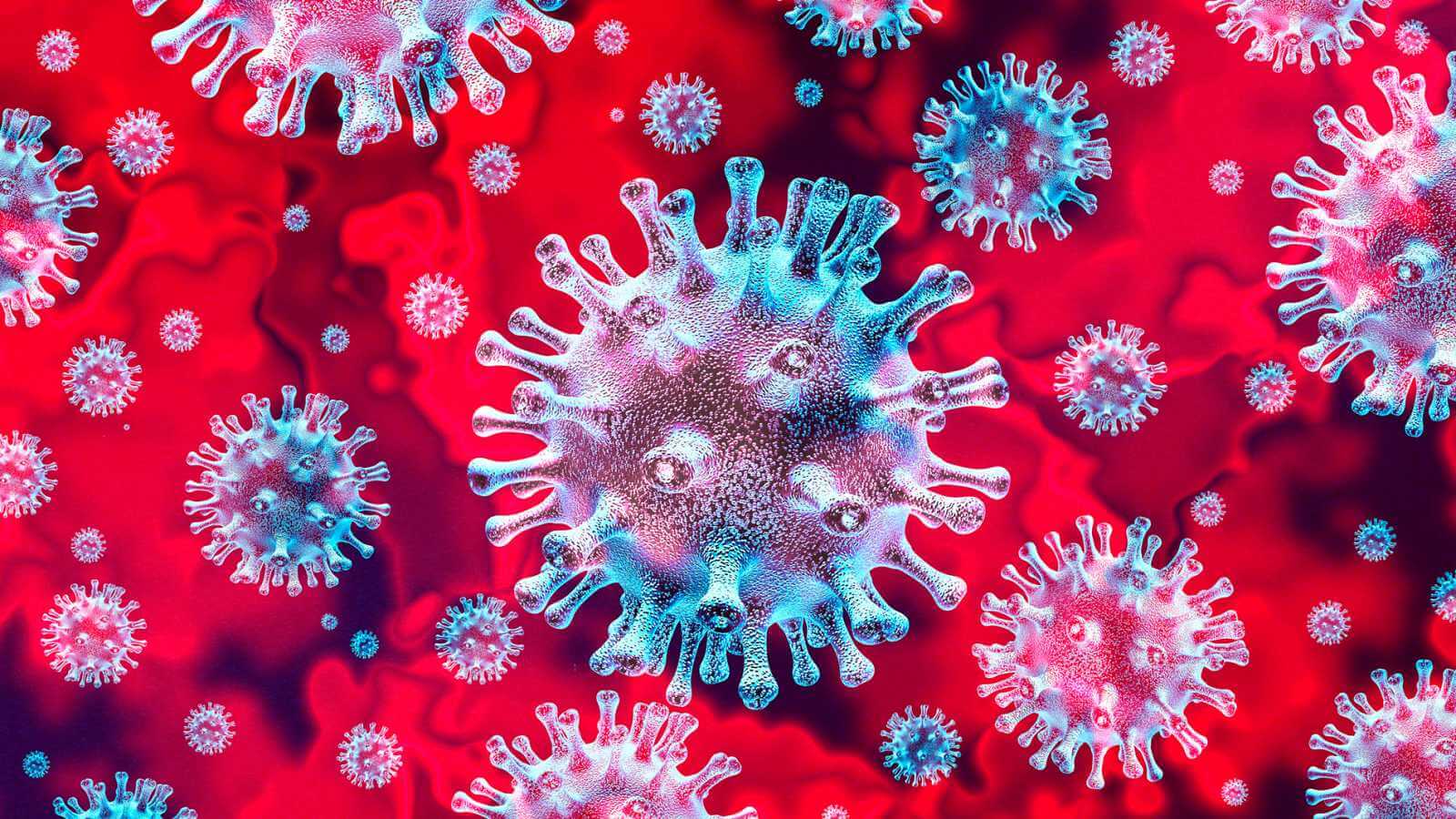 VIRIBIOL PLUS, VIRUCIDA con eficacia frente a virus envueltos como coronavirus