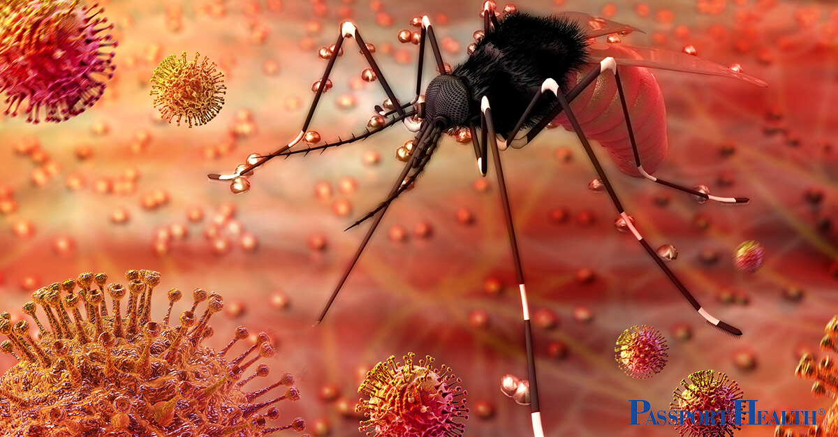 Zika: un mosquito más permisivo con el virus facilitó la epidemia